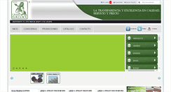 Desktop Screenshot of casagalvan.com